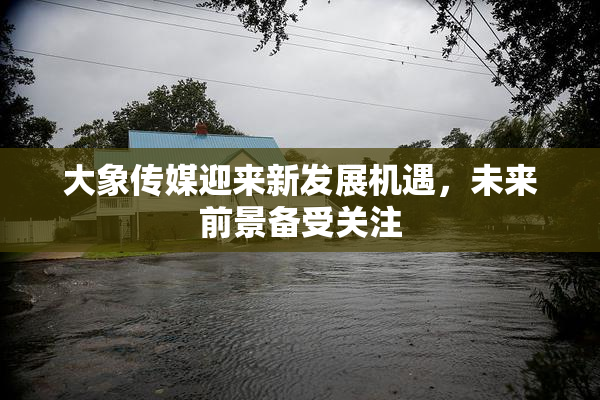 大象传媒迎来新发展机遇，未来前景备受关注