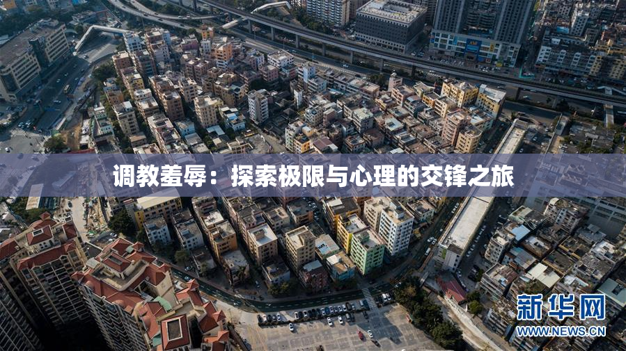 调教羞辱：探索极限与心理的交锋之旅