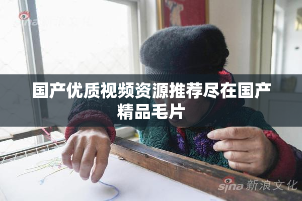 国产优质视频资源推荐尽在国产精品毛片