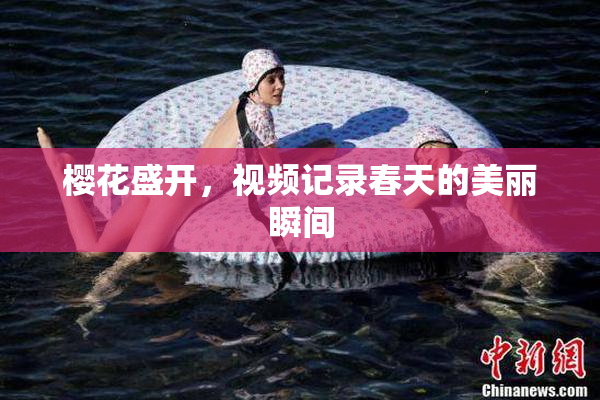 樱花盛开，视频记录春天的美丽瞬间