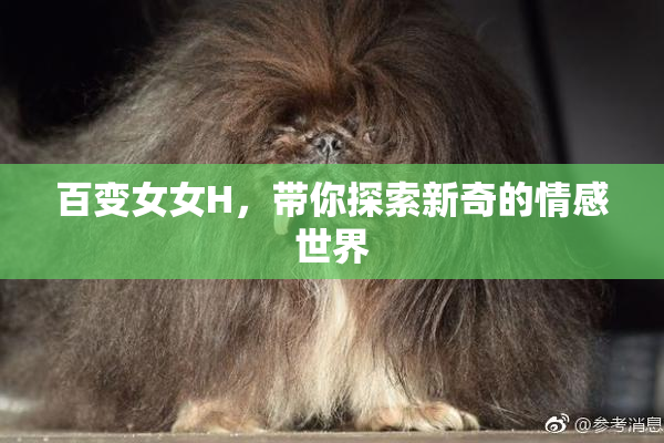 百变女女H，带你探索新奇的情感世界