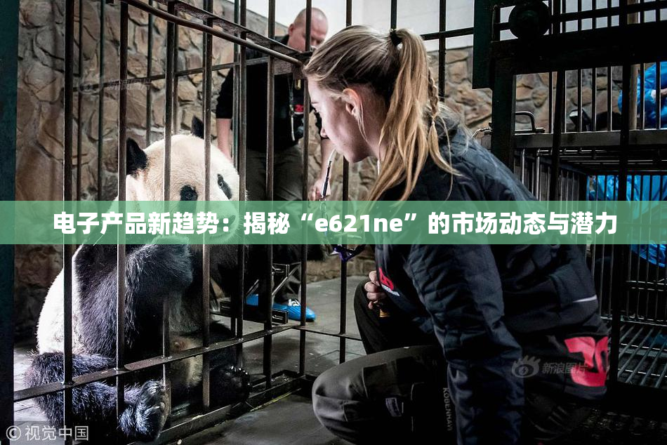 电子产品新趋势：揭秘“e621ne”的市场动态与潜力