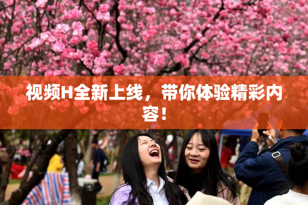 视频H全新上线，带你体验精彩内容！