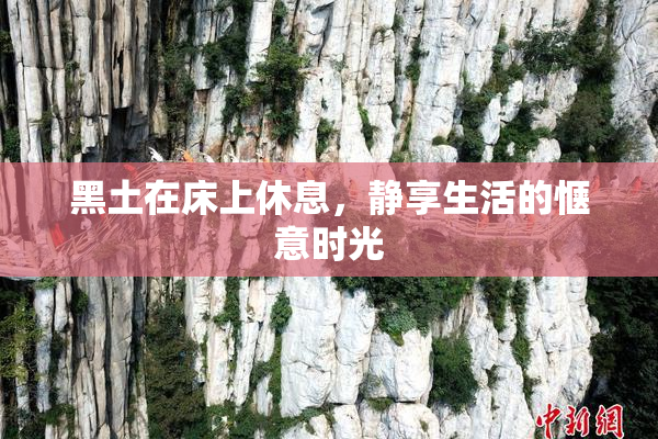黑土在床上休息，静享生活的惬意时光