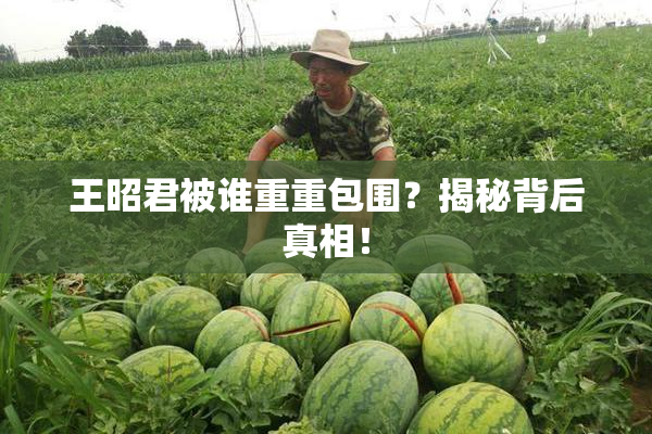 王昭君被谁重重包围？揭秘背后真相！