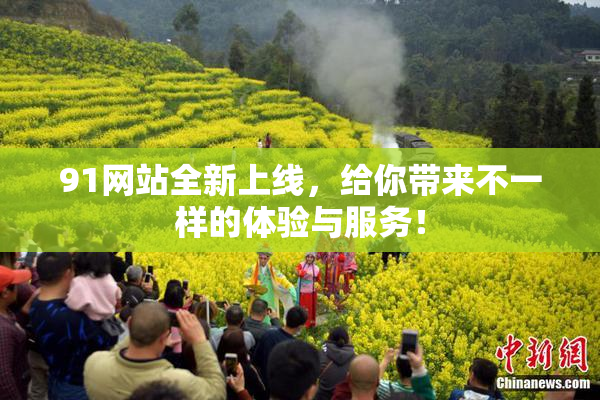91网站全新上线，给你带来不一样的体验与服务！