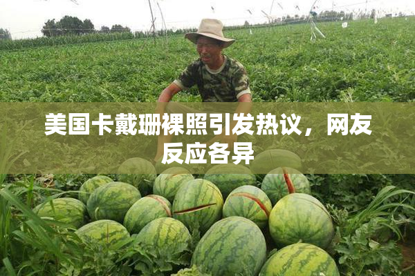 美国卡戴珊裸照引发热议，网友反应各异