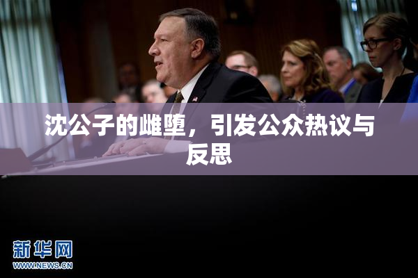 沈公子的雌堕，引发公众热议与反思