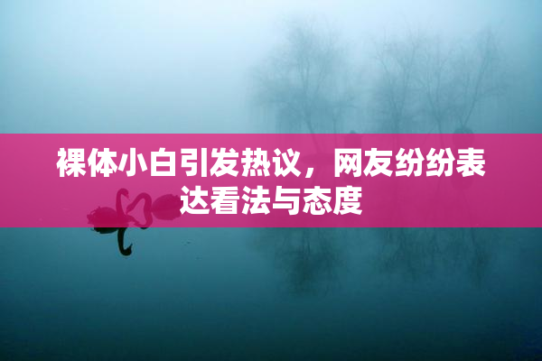 裸体小白引发热议，网友纷纷表达看法与态度