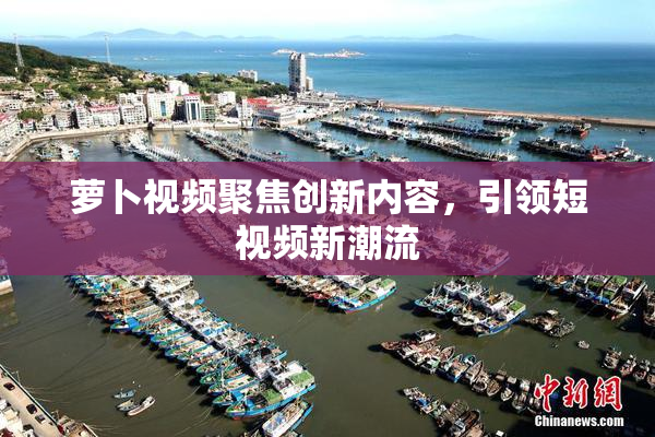 萝卜视频聚焦创新内容，引领短视频新潮流