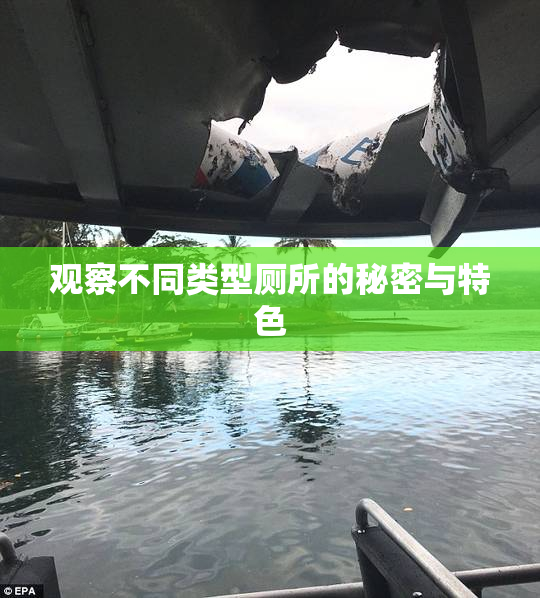 观察不同类型厕所的秘密与特色