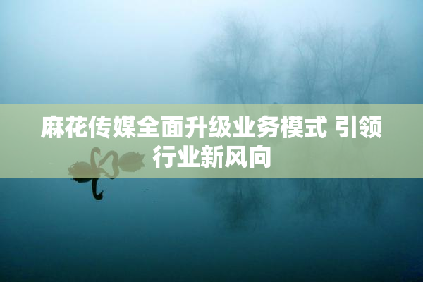 麻花传媒全面升级业务模式 引领行业新风向