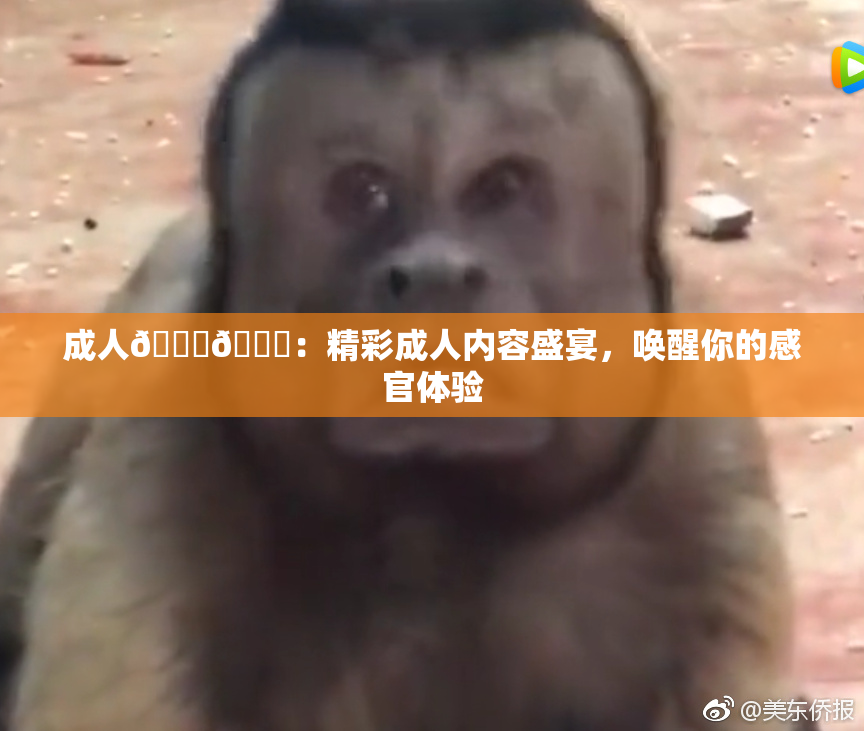 成人🍆🍑：精彩成人内容盛宴，唤醒你的感官体验