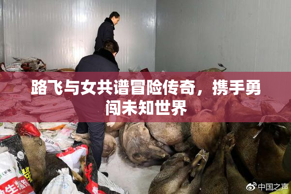 路飞与女共谱冒险传奇，携手勇闯未知世界