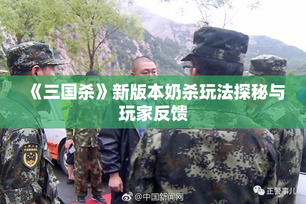 《三国杀》新版本奶杀玩法探秘与玩家反馈