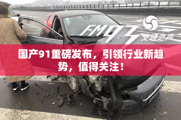 国产91重磅发布，引领行业新趋势，值得关注！