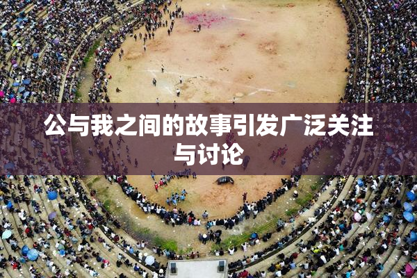 公与我之间的故事引发广泛关注与讨论