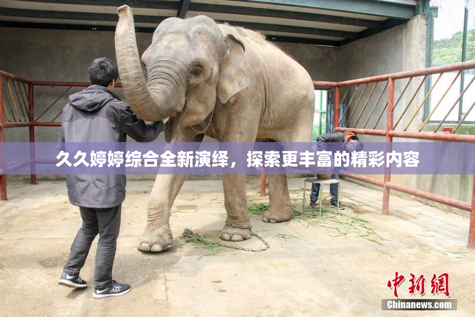 久久婷婷综合全新演绎，探索更丰富的精彩内容
