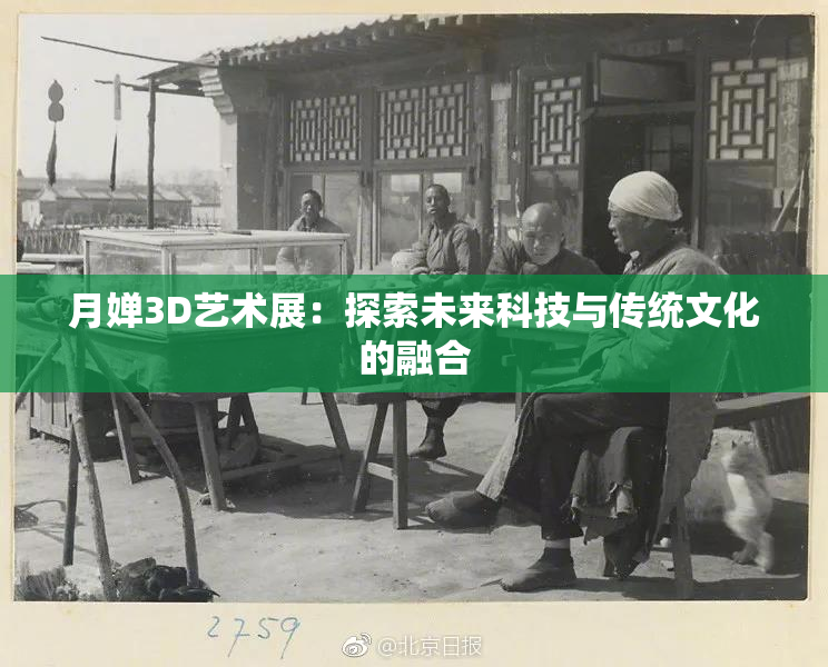 月婵3D艺术展：探索未来科技与传统文化的融合