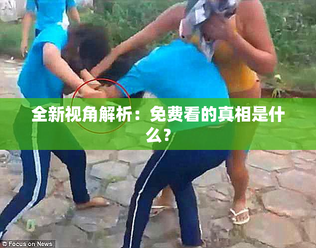 全新视角解析：免费看的真相是什么？
