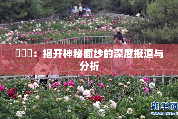 逹葢薾：揭开神秘面纱的深度报道与分析