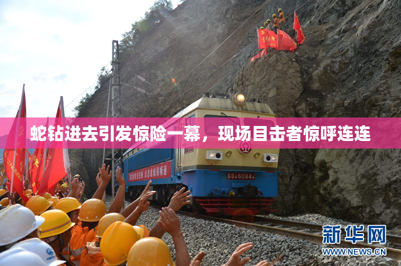 蛇钻进去引发惊险一幕，现场目击者惊呼连连