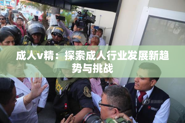 成人v精：探索成人行业发展新趋势与挑战