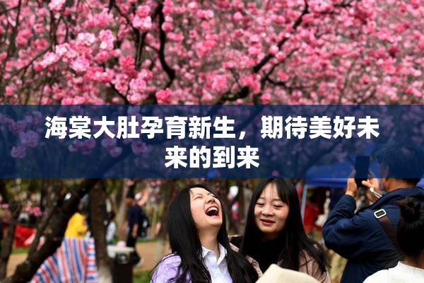 海棠大肚孕育新生，期待美好未来的到来