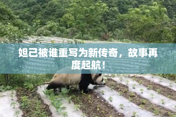 妲己被谁重写为新传奇，故事再度起航！