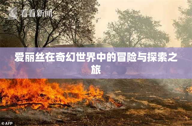 爱丽丝在奇幻世界中的冒险与探索之旅