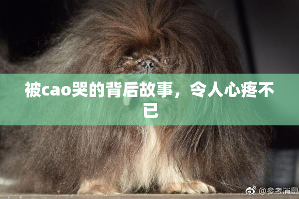 被cao哭的背后故事，令人心疼不已