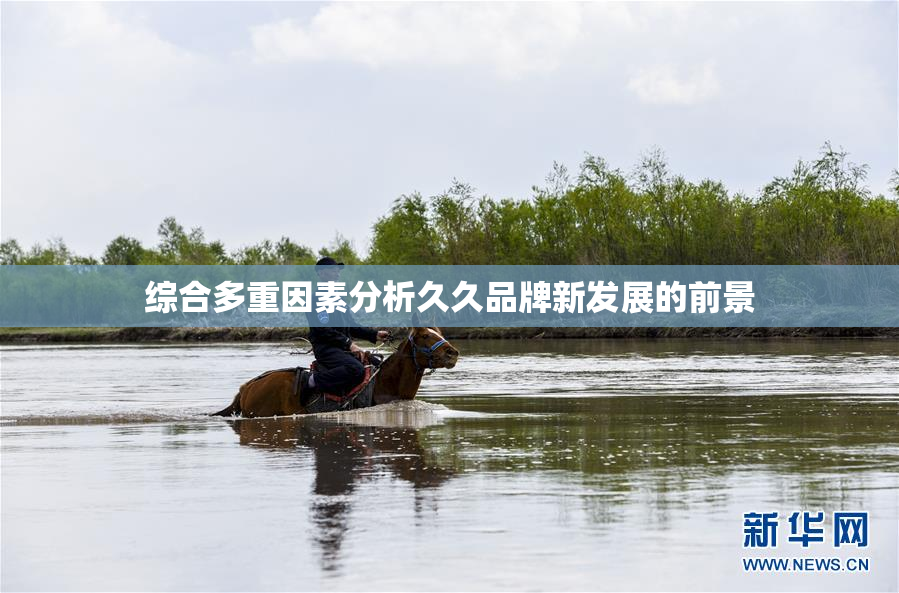 综合多重因素分析久久品牌新发展的前景