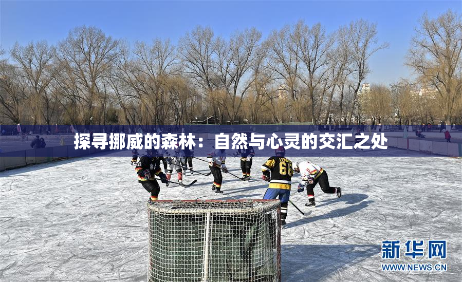 探寻挪威的森林：自然与心灵的交汇之处