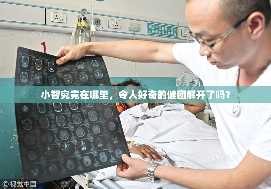 小智究竟在哪里，令人好奇的谜团解开了吗？