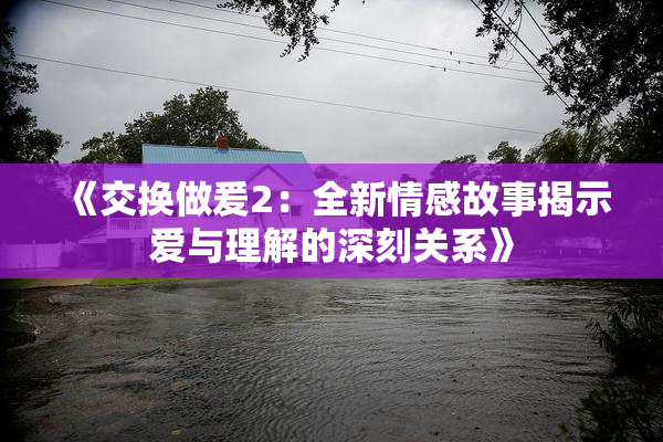 《交换做爰2：全新情感故事揭示爱与理解的深刻关系》