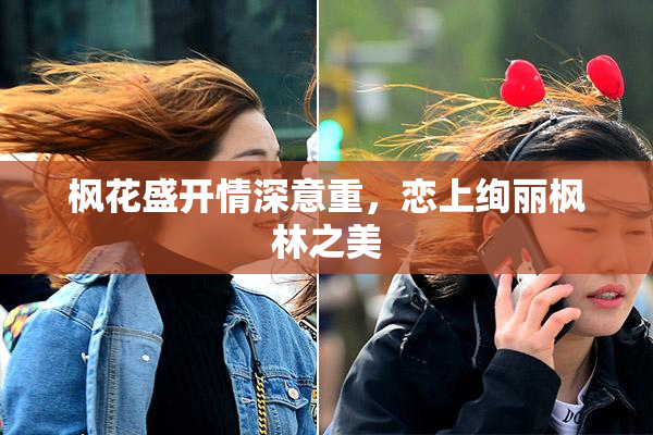 枫花盛开情深意重，恋上绚丽枫林之美