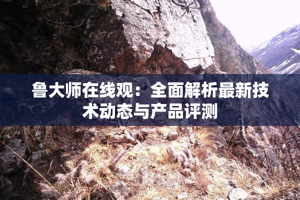 鲁大师在线观：全面解析最新技术动态与产品评测