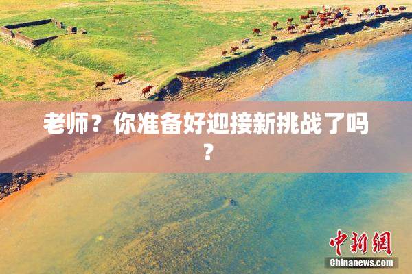 老师？你准备好迎接新挑战了吗？