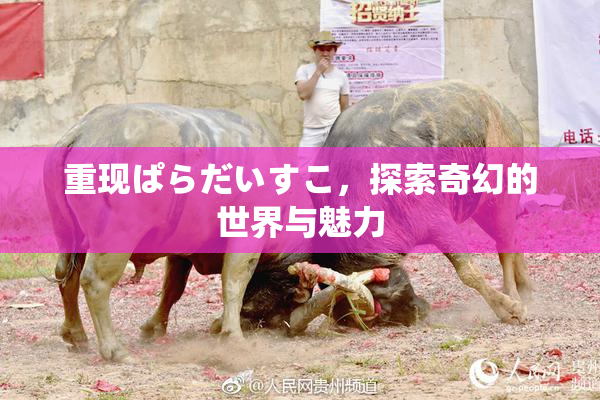 重现ぱらだいすこ，探索奇幻的世界与魅力