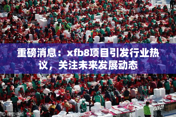 重磅消息：xfb8项目引发行业热议，关注未来发展动态