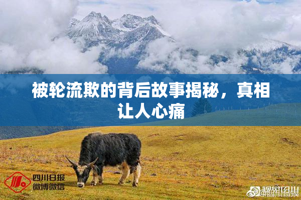 被轮流欺的背后故事揭秘，真相让人心痛