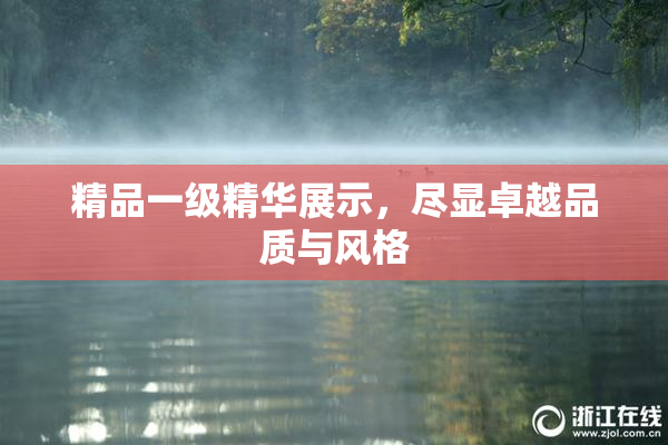 精品一级精华展示，尽显卓越品质与风格