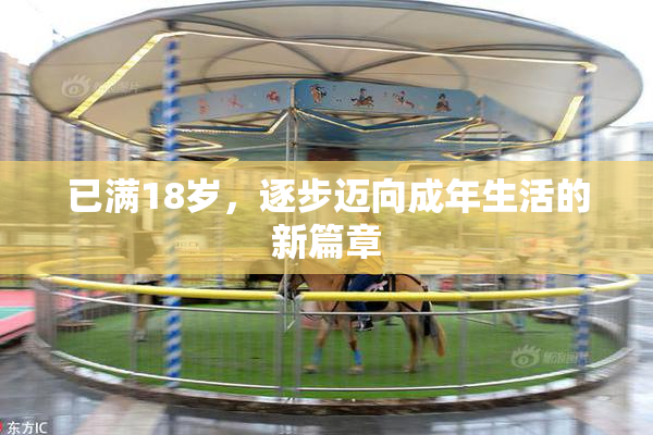 已满18岁，逐步迈向成年生活的新篇章