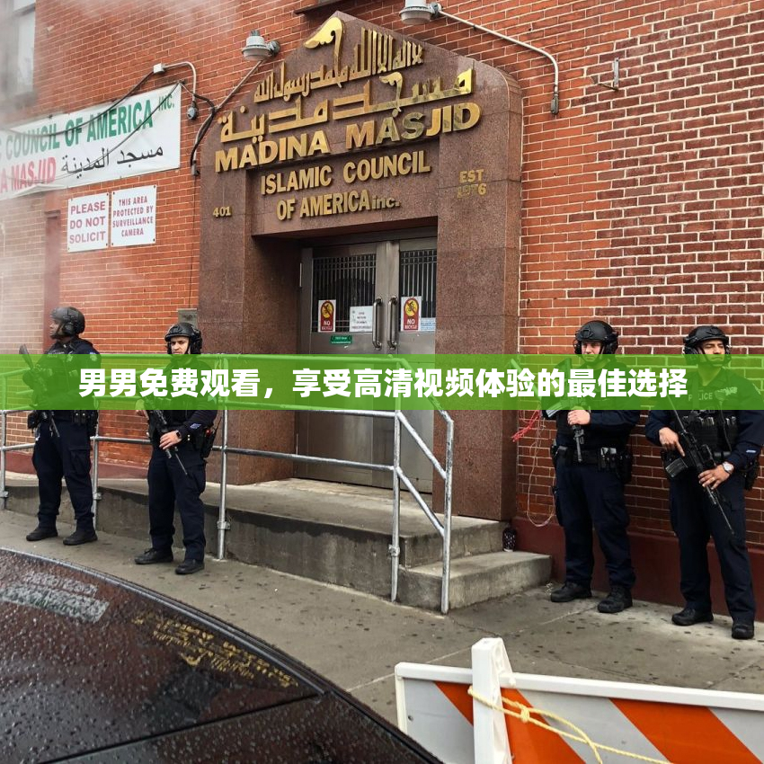 男男免费观看，享受高清视频体验的最佳选择