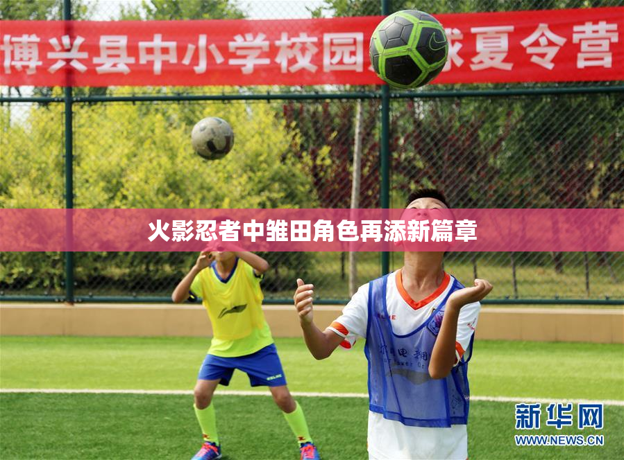 火影忍者中雏田角色再添新篇章
