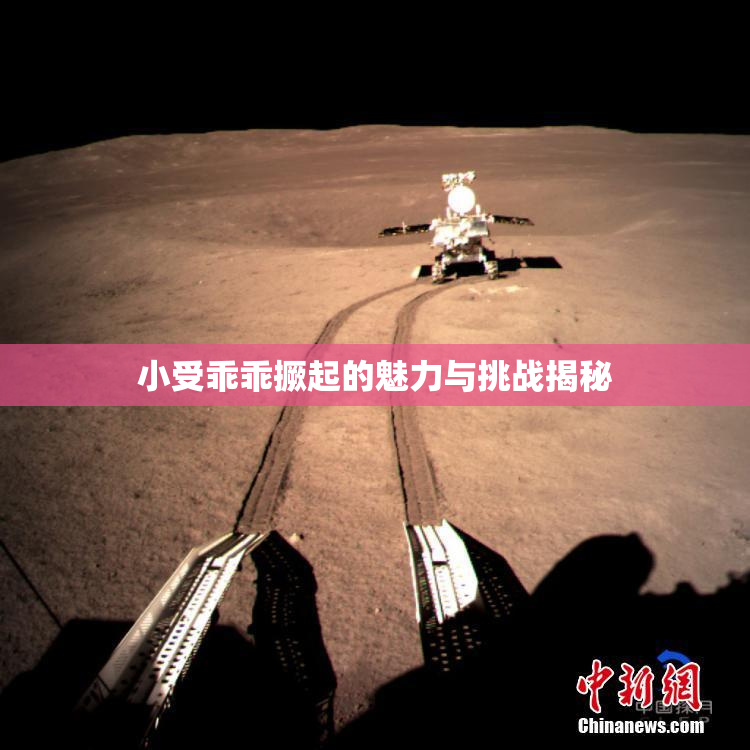 小受乖乖撅起的魅力与挑战揭秘