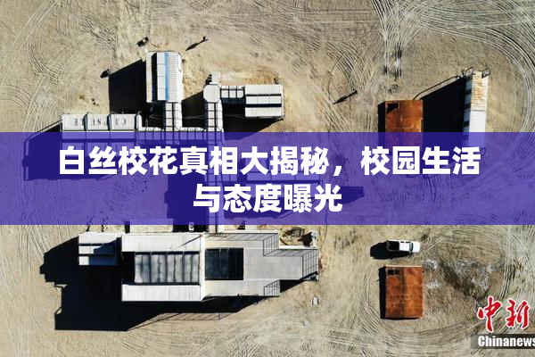 白丝校花真相大揭秘，校园生活与态度曝光
