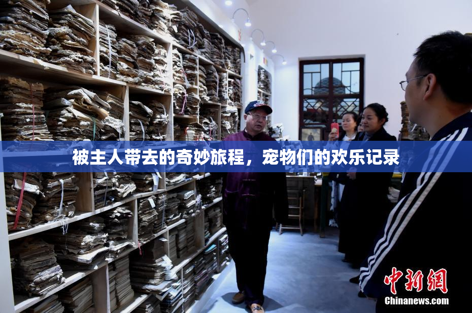 被主人带去的奇妙旅程，宠物们的欢乐记录
