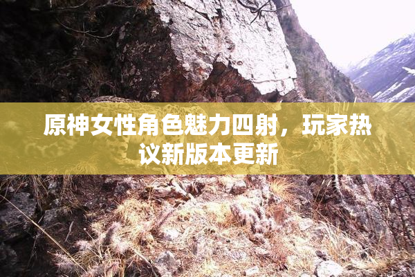原神女性角色魅力四射，玩家热议新版本更新