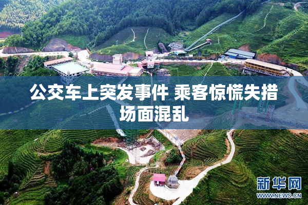 公交车上突发事件 乘客惊慌失措场面混乱